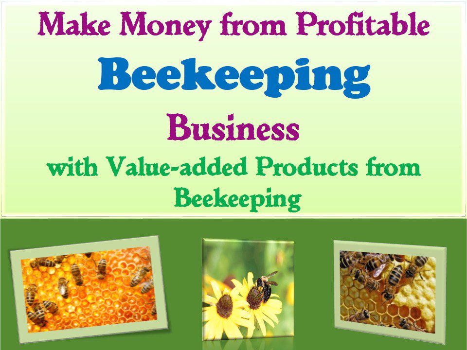 Beekeeping Business