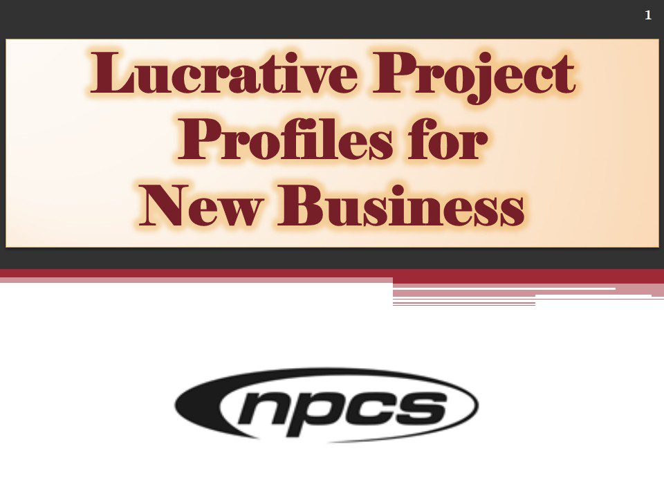 Lucrative Project Profiles for New Business