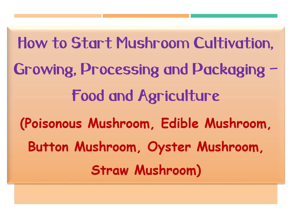 Mushroom Cultivation and Processing
