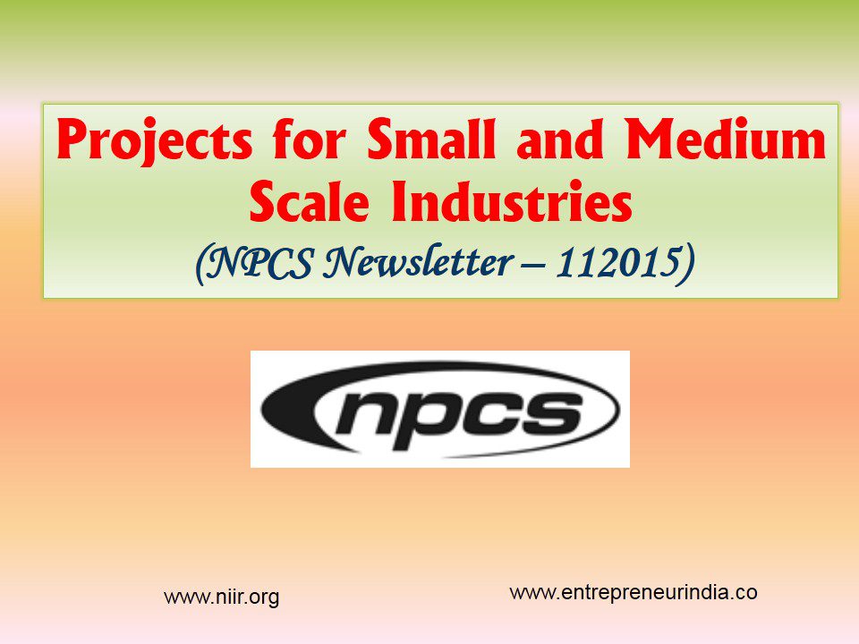 Projects for small and medium scale industries