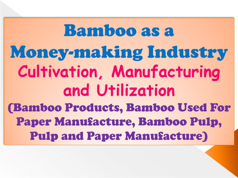 bamboo-as-a-money-making-industry-cultivation-manufacturing-and-utilization-bamboo-products-bamboo-used-for-paper-manufacture-bamboo-pulp-pulp-and-paper-manufacture
