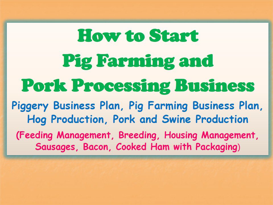 how-to-start-pig-farming-and-pork-processing-business-piggery-business-plan-pig-farming-business-plan-hog-production-pork-and-swine-production-feeding-management-breeding-housing-management-sa