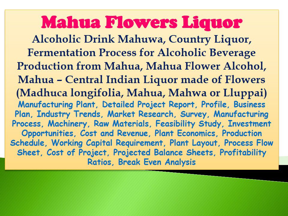 mahua-flowers-liquor-alcoholic-drink-mahuwa-country-liquor-fermentation-process-for-alcoholic-beverage-production-from-mahua-mahua-flower-alcohol