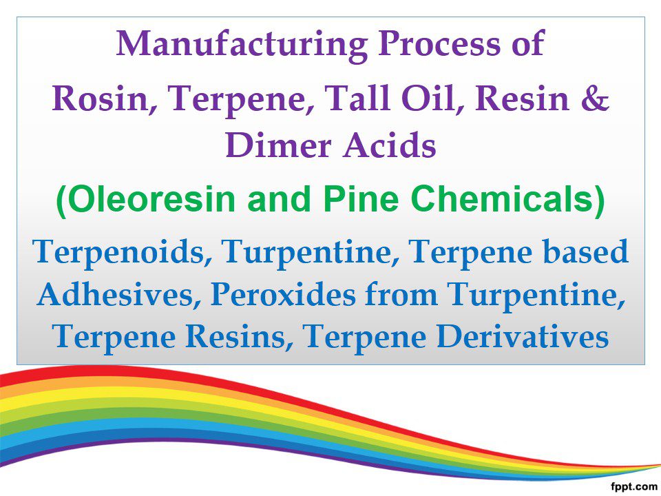 manufacturing-process-of-rosin-terpene-tall-oil-resin-dimer-acids-oleoresin-and-pine-chemicals-terpenoids-turpentine