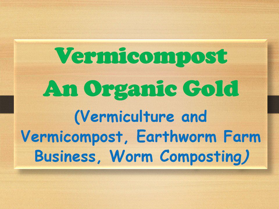 vermicompost-an-organic-gold-vermiculture-and-vermicompost-earthworm-farm-business-worm-composting