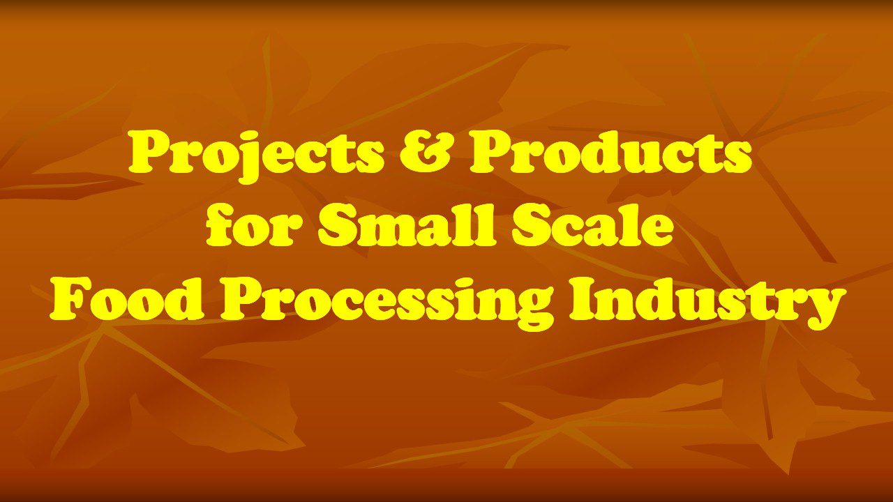 projects-products-for-small-scale-food-processing-industry