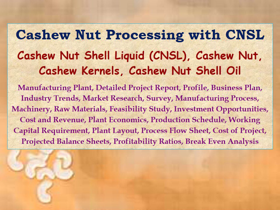 cashew-nut-processing-with-cnsl