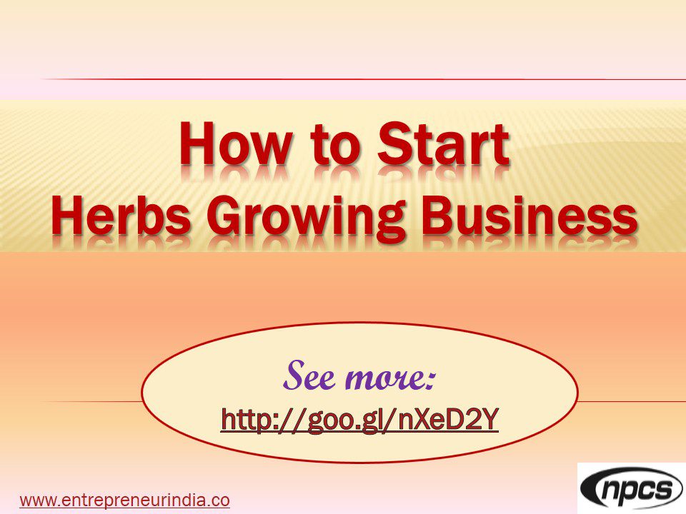 how-to-start-herbs-growing-business