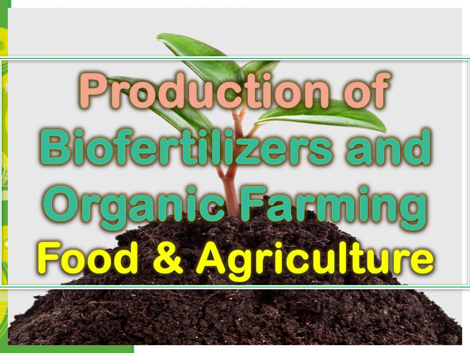 production-of-biofertilizers-and-organic-farming-food-agriculture