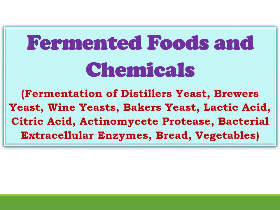 fermentation-food-and-chemicals