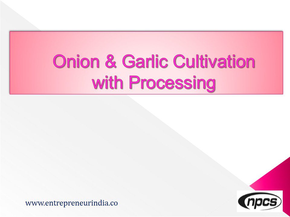 onion-garlic