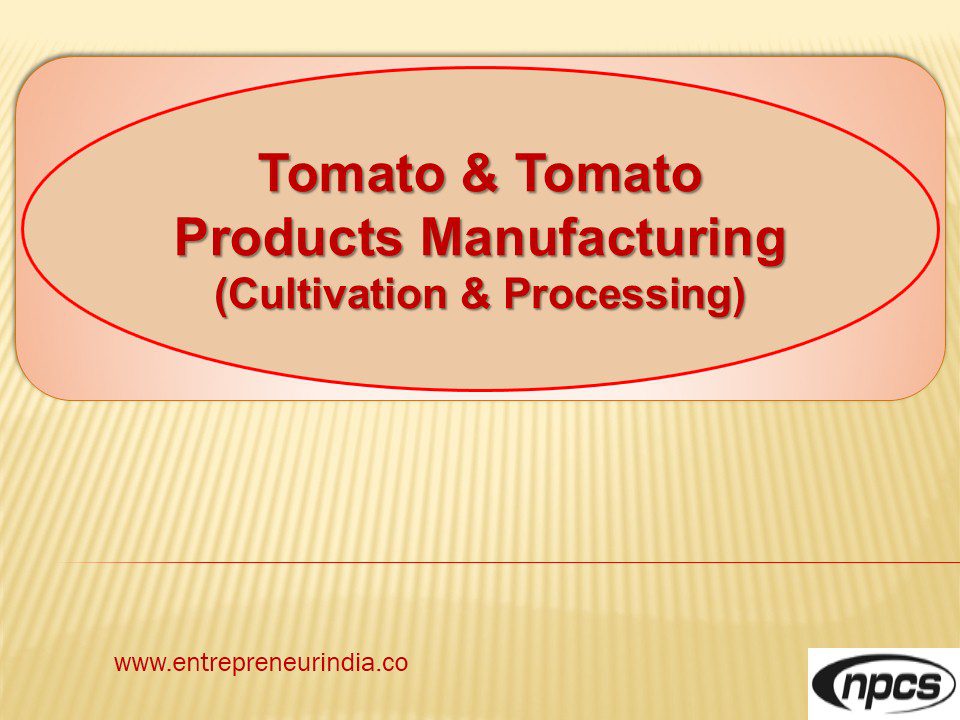 tomato-tomato-products