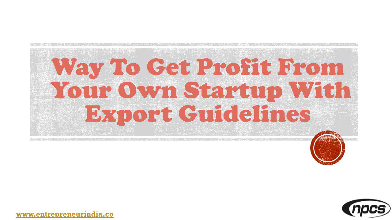 way-to-get-profit-from-your-own-startup-with-export-guidelines