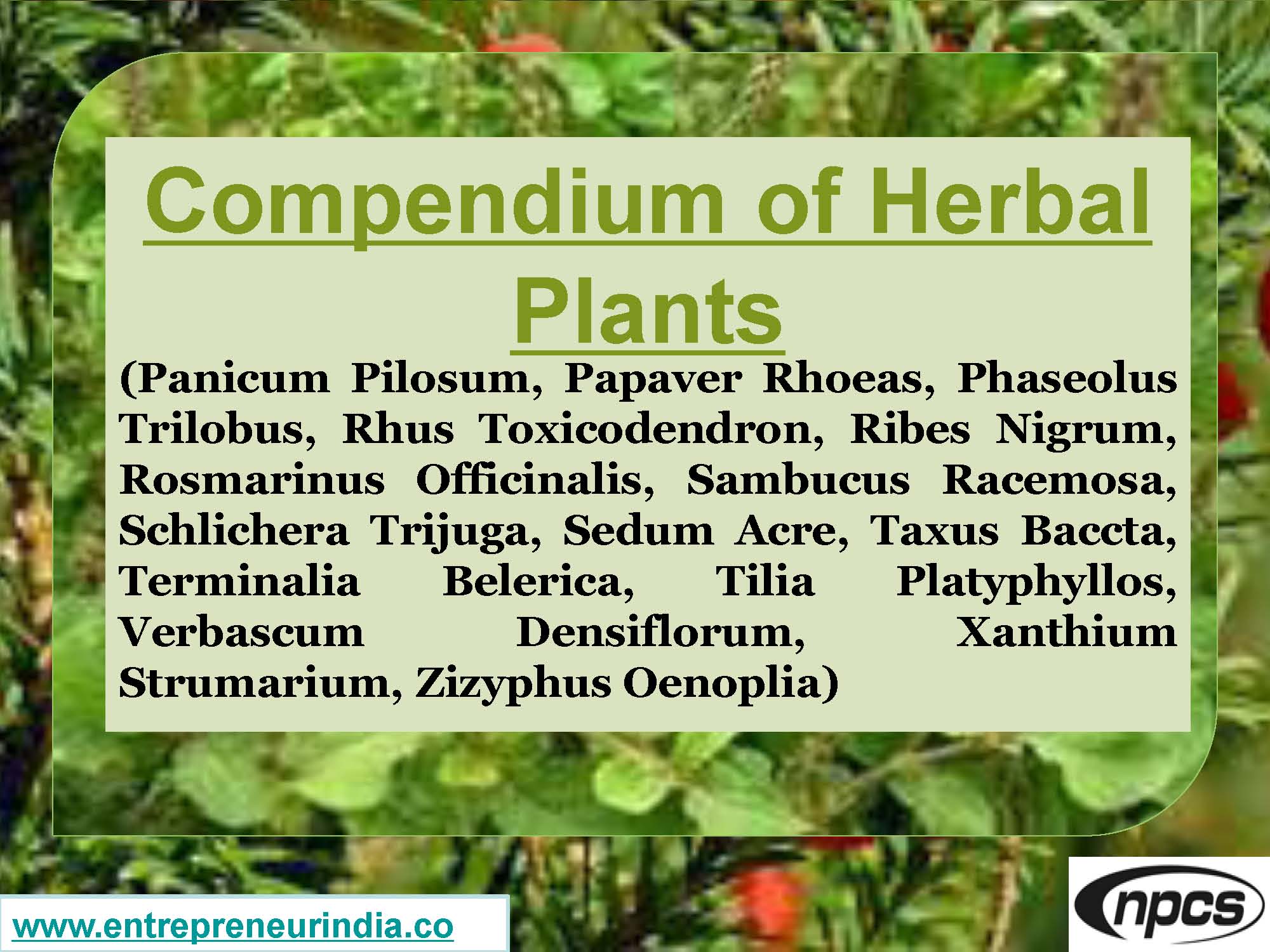 Compendium of Herbal Plants