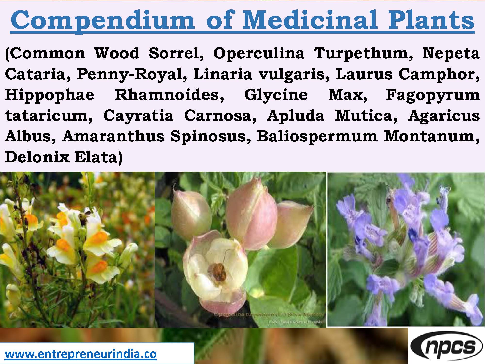 Compendium of Medicinal Plants