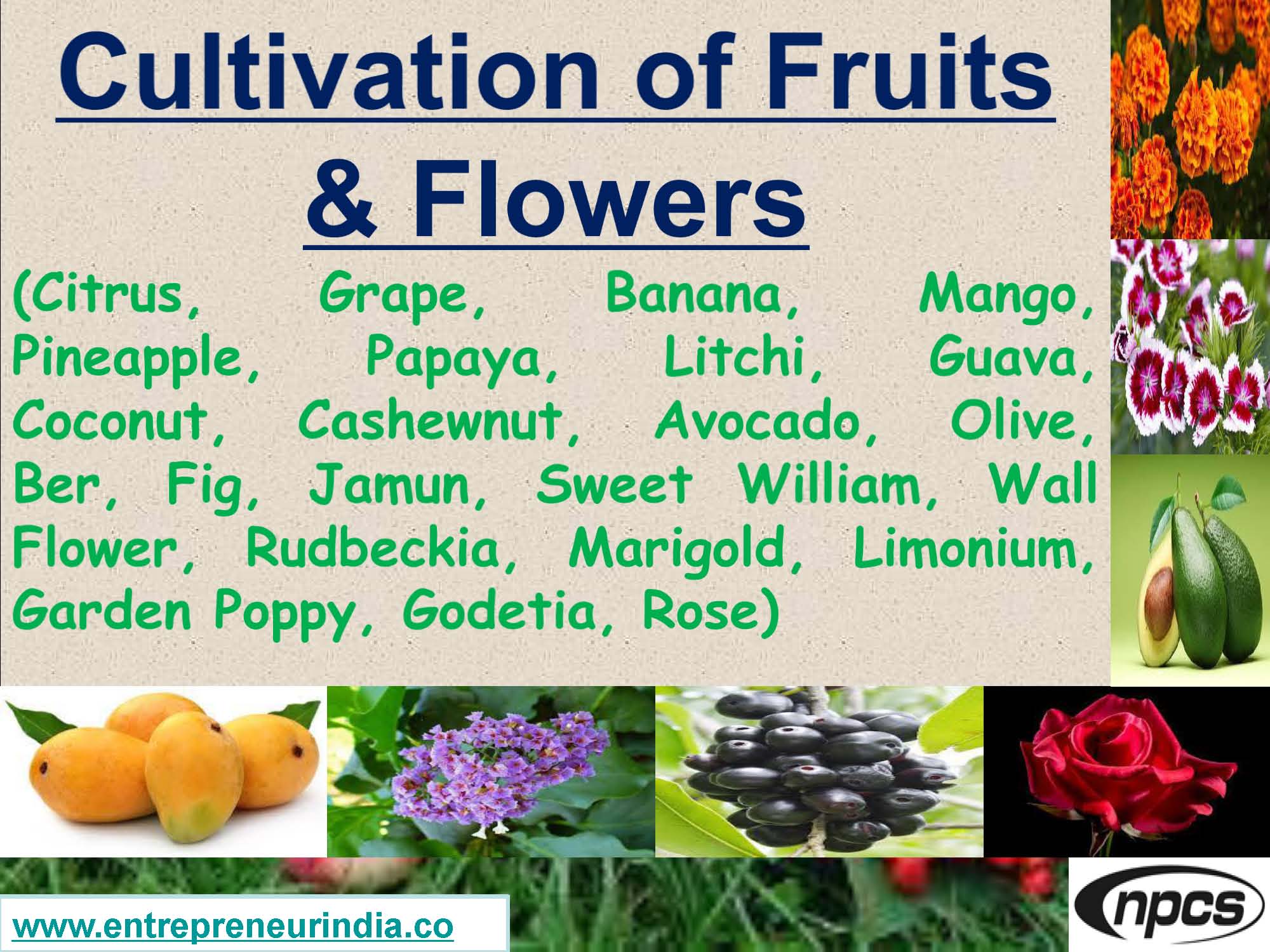 Cultivation of Fruits &amp; Flowers