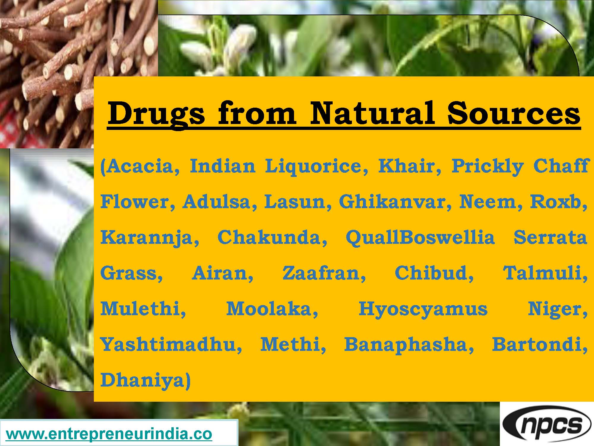 Drugs from Natural Sources.jpg