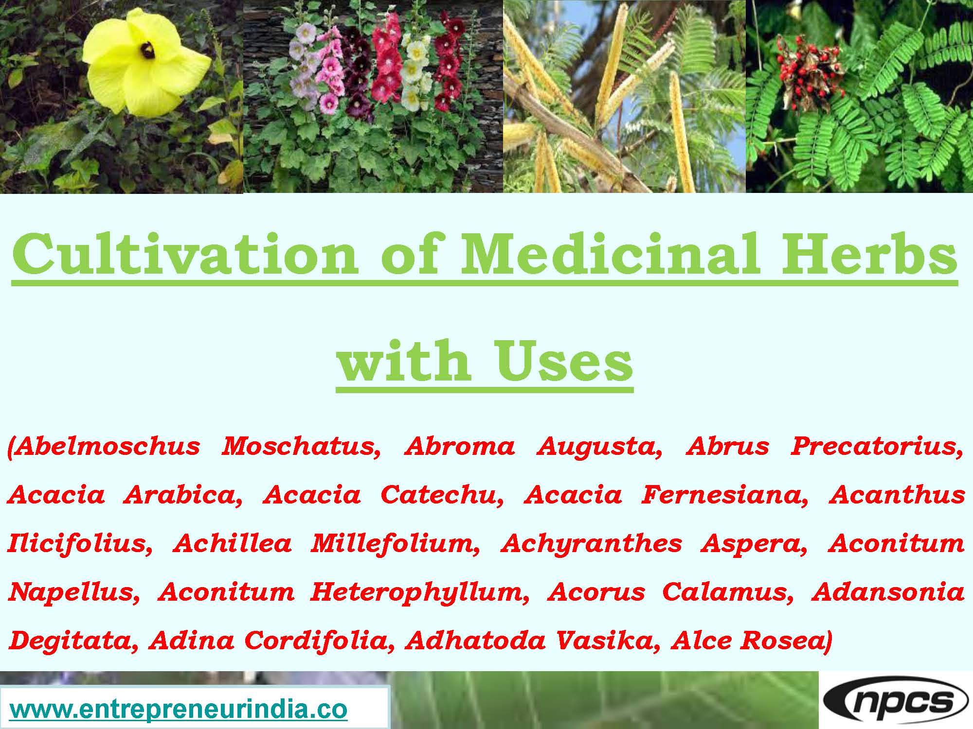 Cultivation of Medicinal Herbs with Uses_Page_01