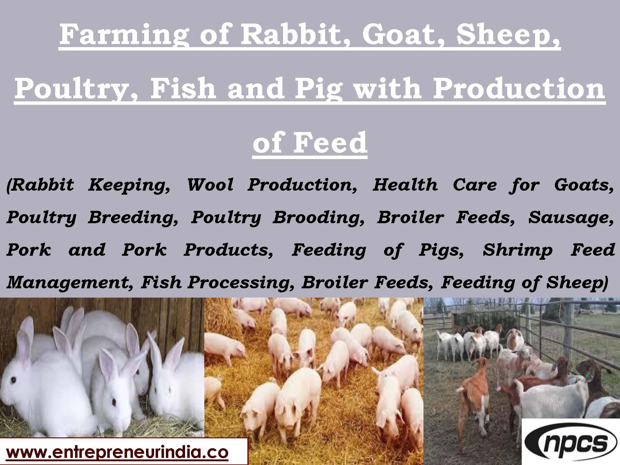 Farming of Rabbit, Goat, Sheep, Poultry, Fish and Pig With Production of Feed.jpg