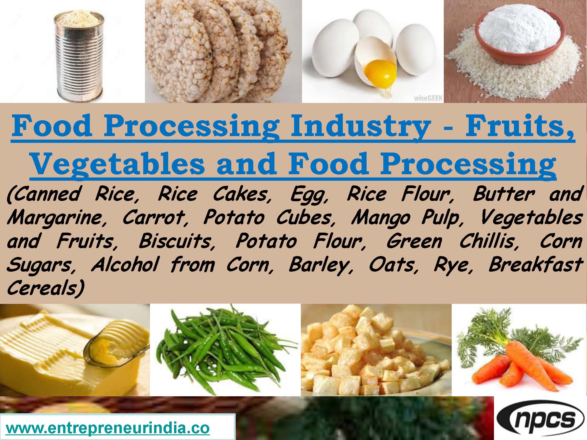Food Processing Industry - Fruits, Vegetables and Food Processing_Page_01