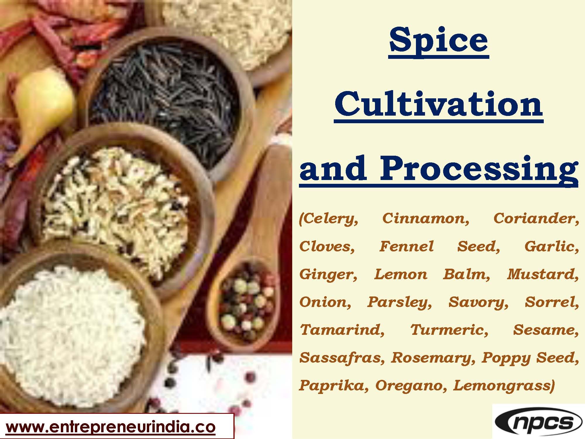Spice Cultivation and Processing