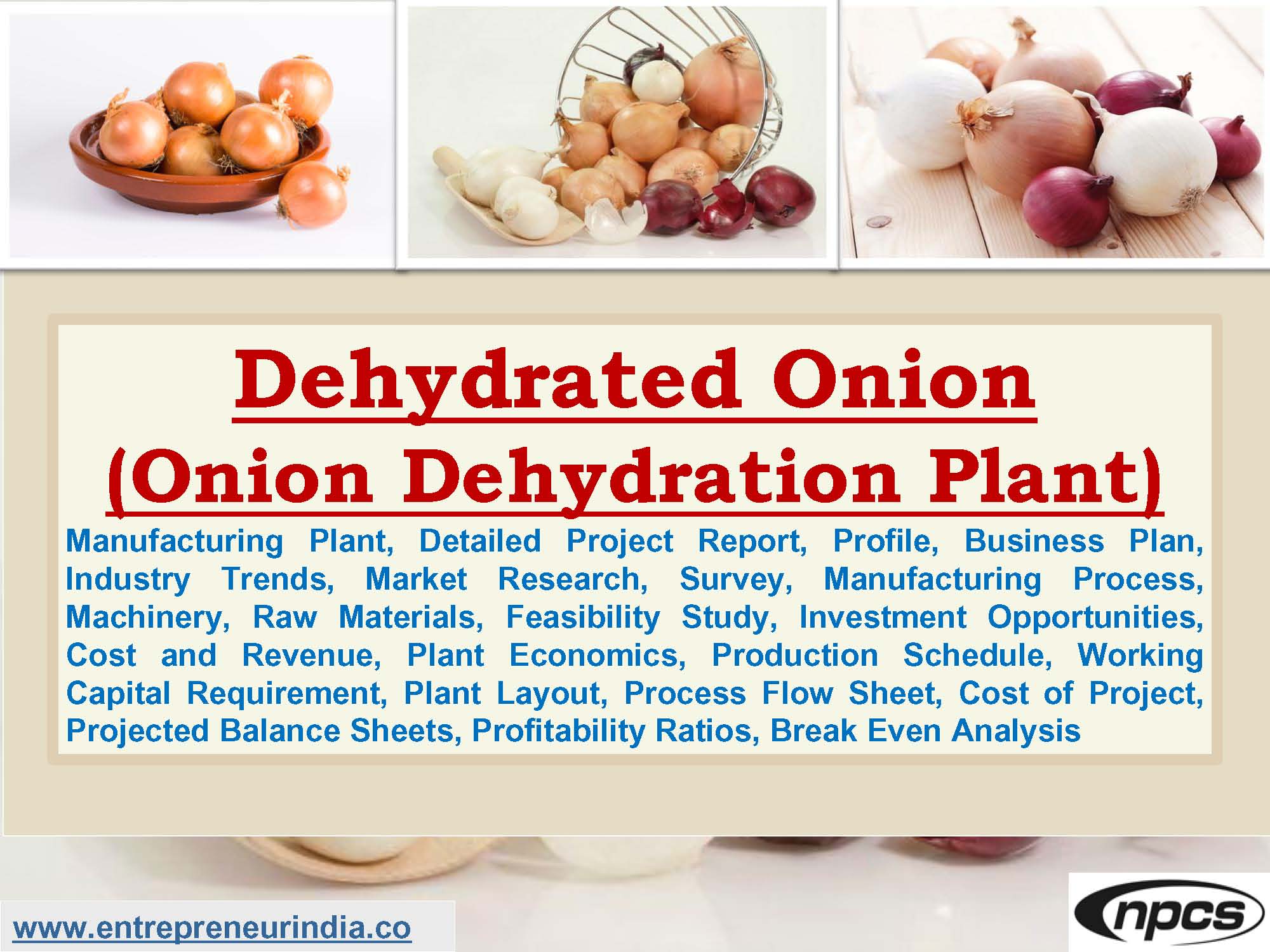 Dehydrated Onion (Onion Dehydration Plant).jpg