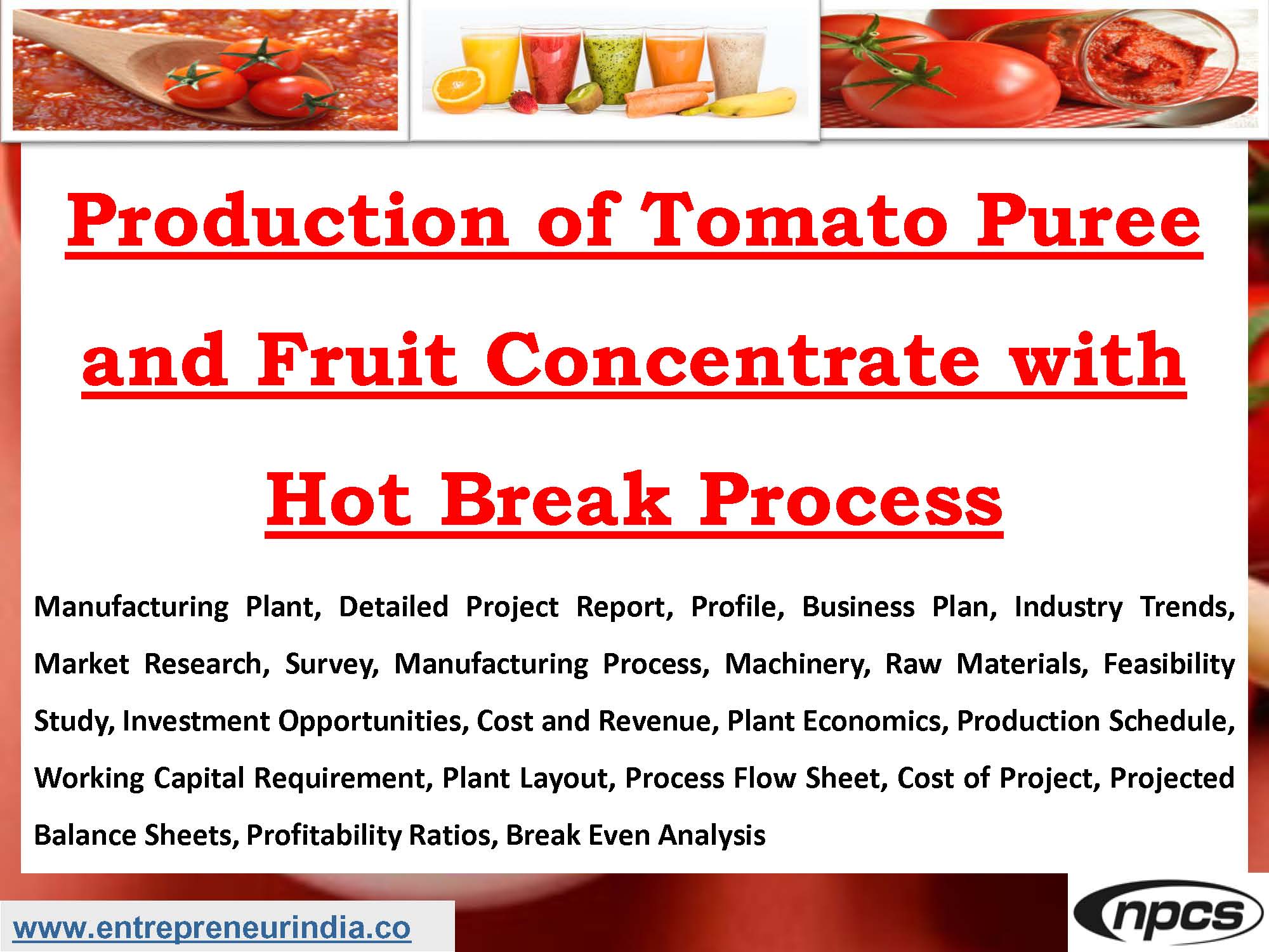 Production of Tomato Puree and Fruit Concentrate with Hot Break Process.jpg