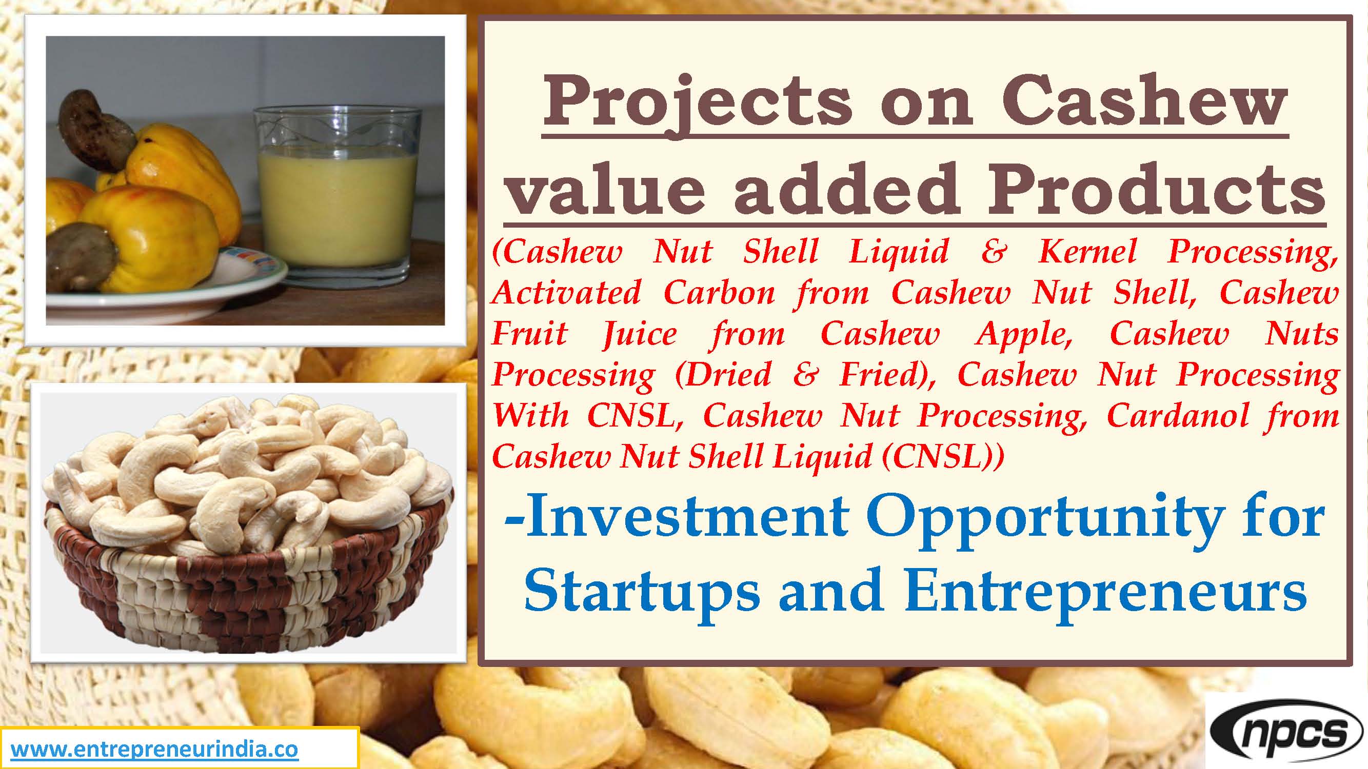 Projects on Cashew value added Products.jpg
