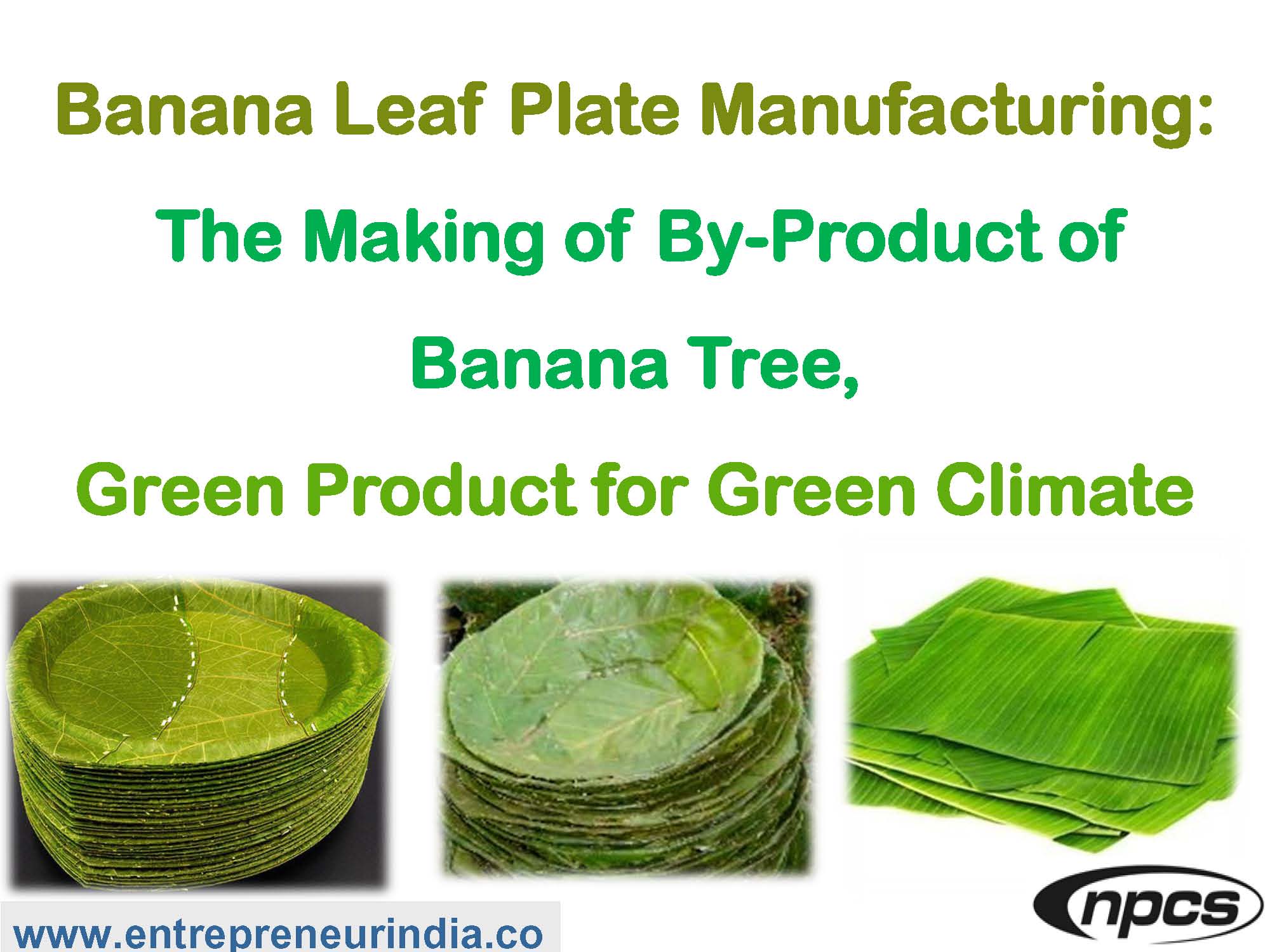 Banana Leaf Plate Manufacturing The Making of By-Product of Banana Tree