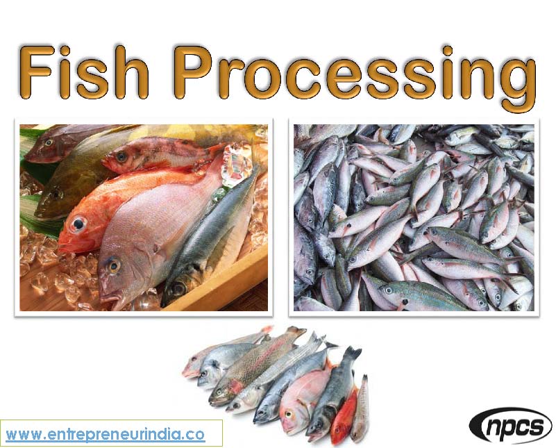 Fish Processing