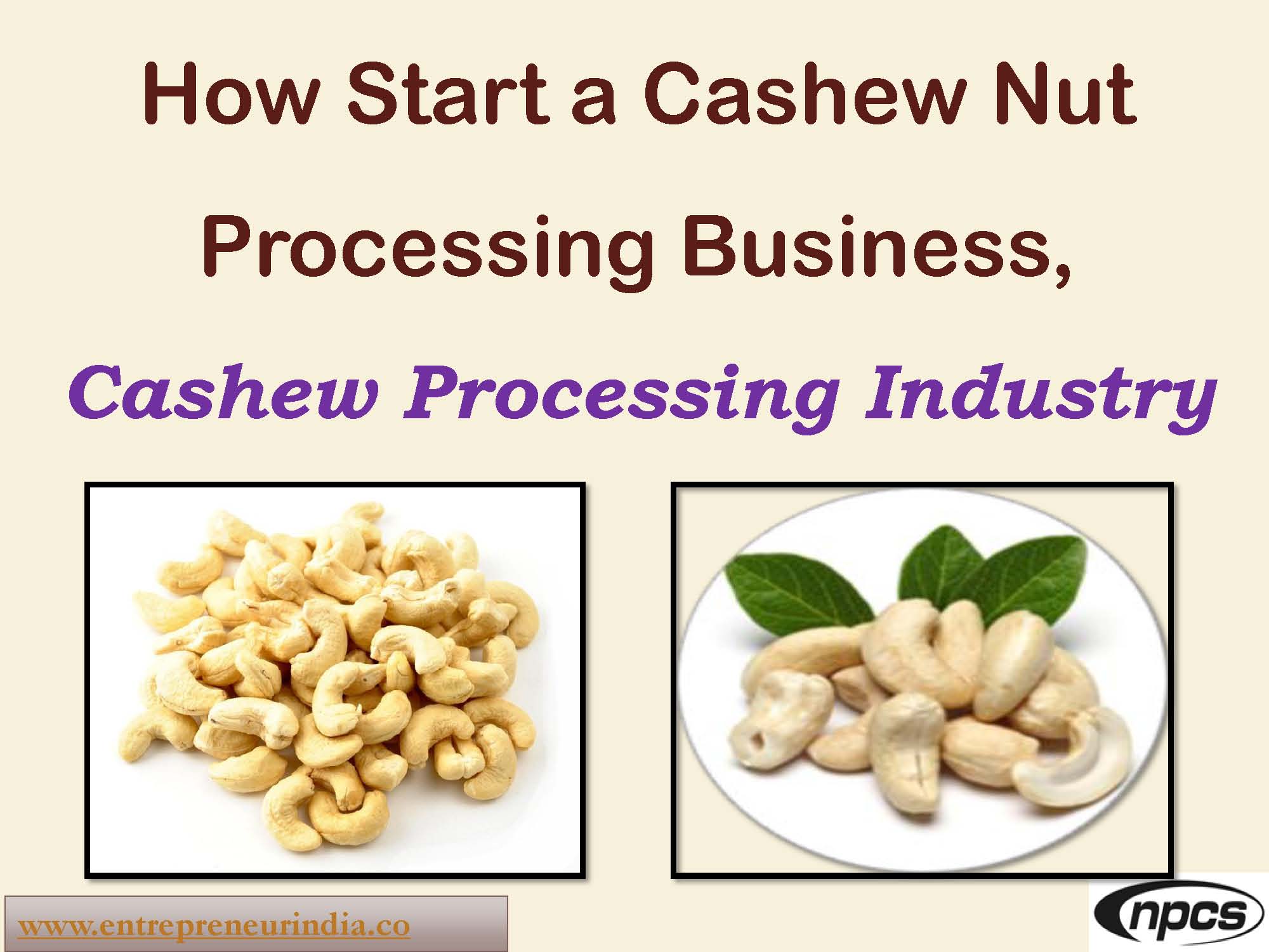 How Start a Cashew Nut Processing Business.jpg