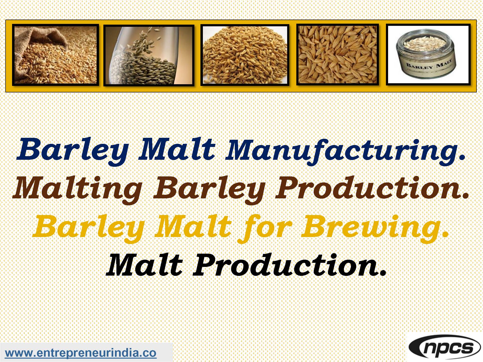 Barley Malt Manufacturing. Malting Barley Production..jpg