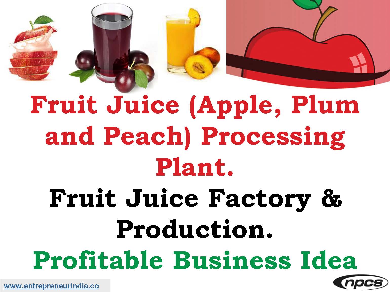 Fruit Juice (Apple, Plum and Peach) Processing Plant.jpg