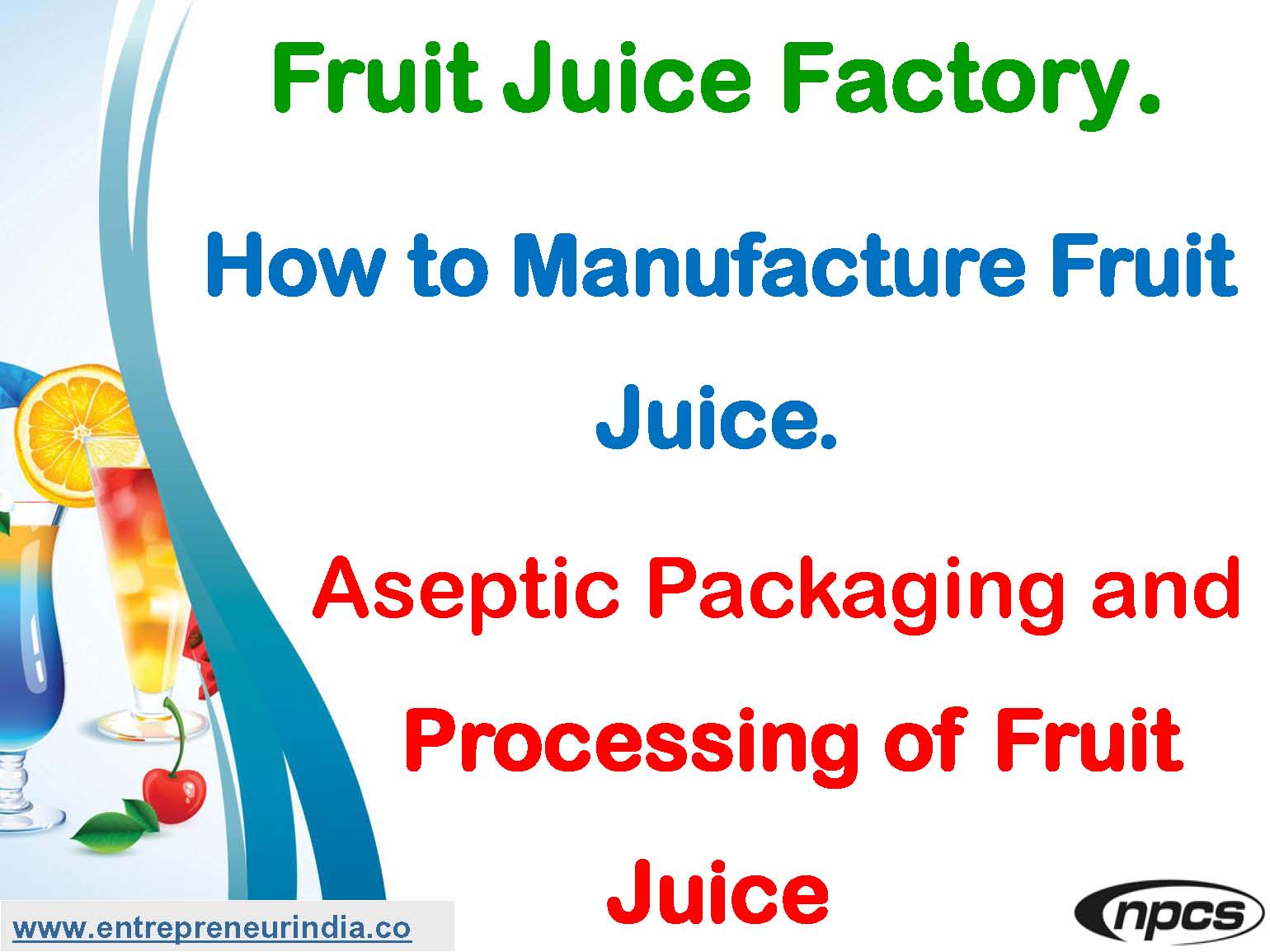 Fruit Juice Factory. How to Manufacture Fruit Juice.jpg