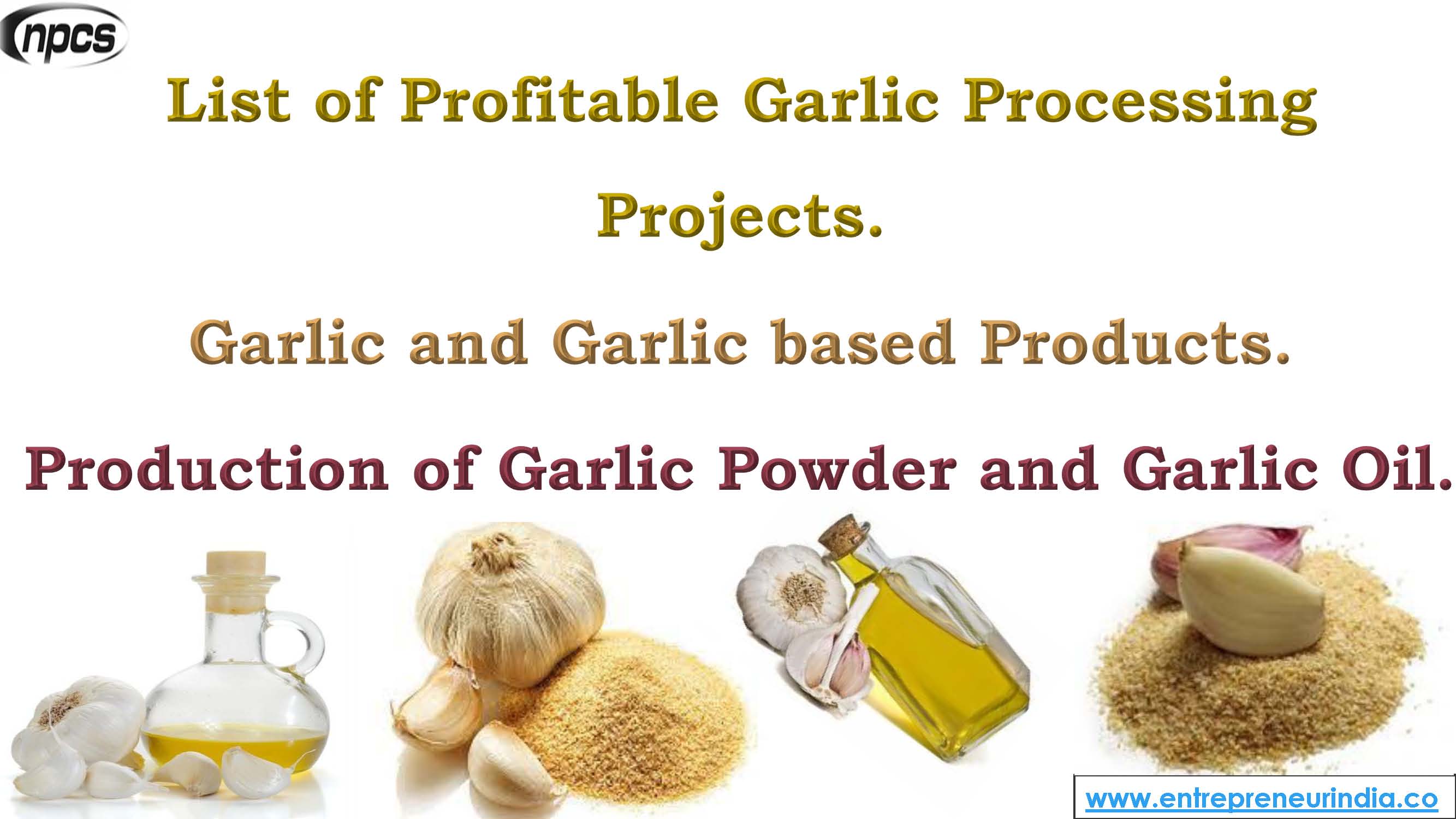List of Profitable Garlic Processing Projects..jpg