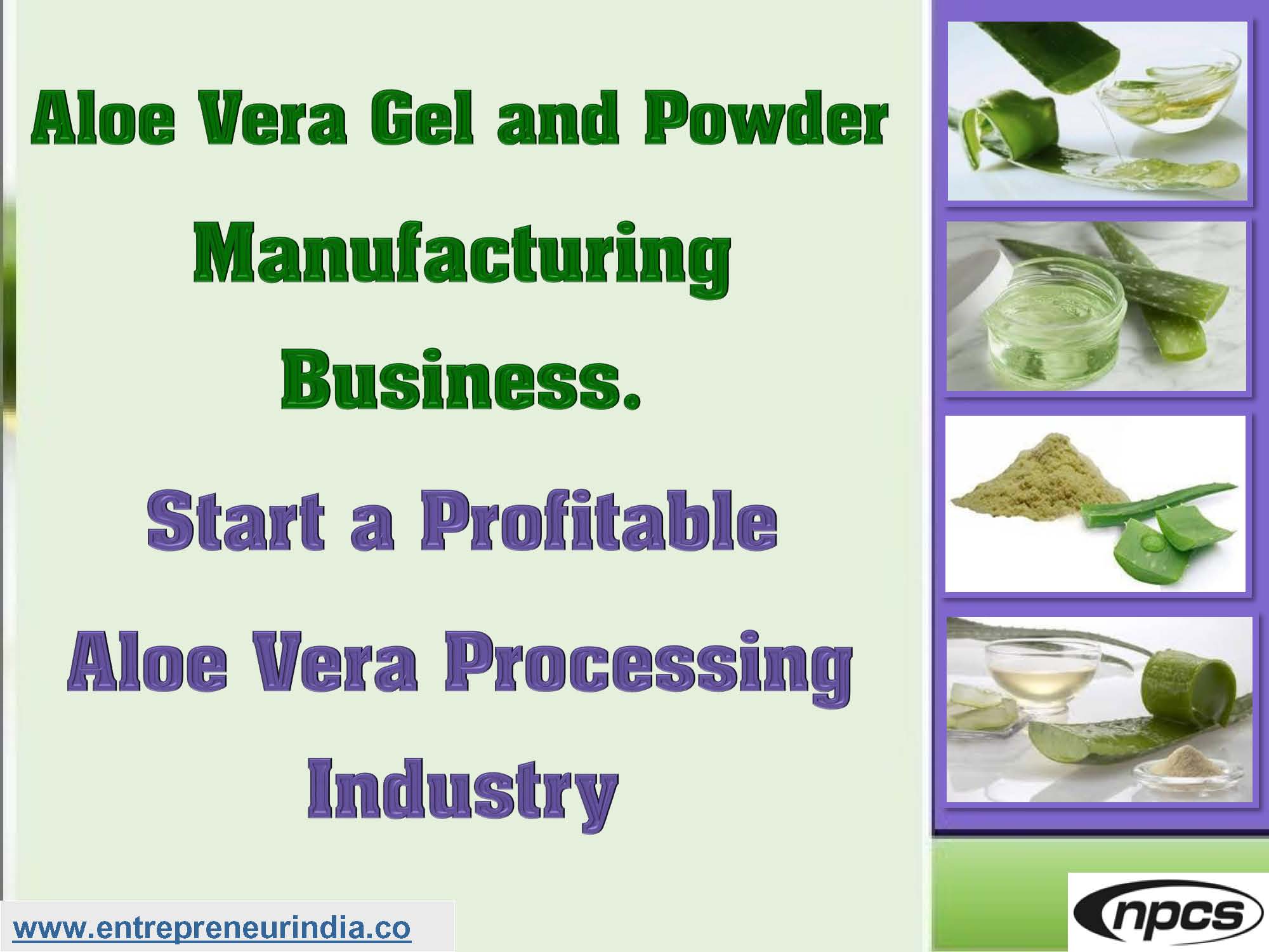 Aloe Vera Gel and Powder Manufacturing Business.jpg