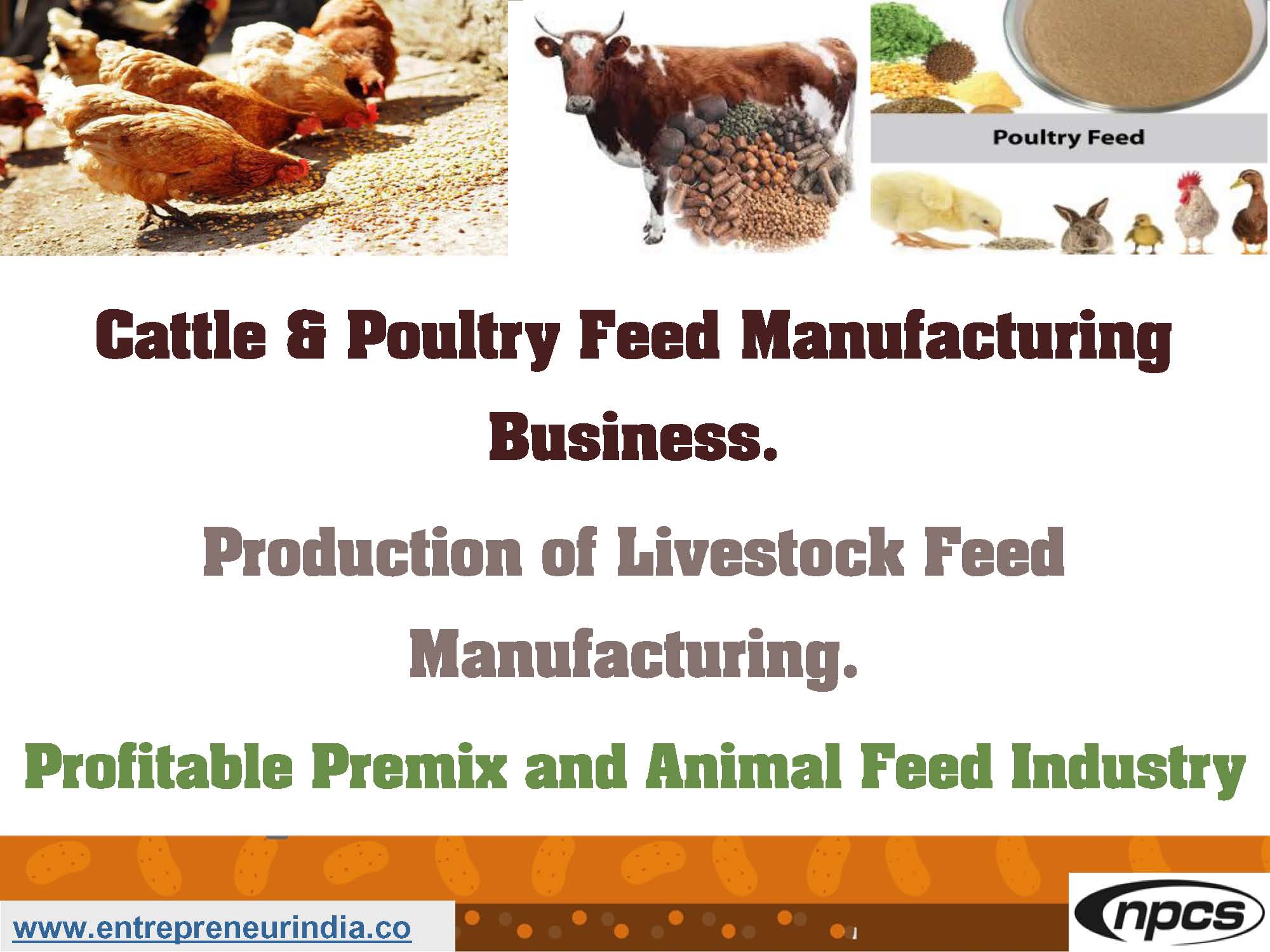 Cattle & Poultry Feed Manufacturing Business.jpg