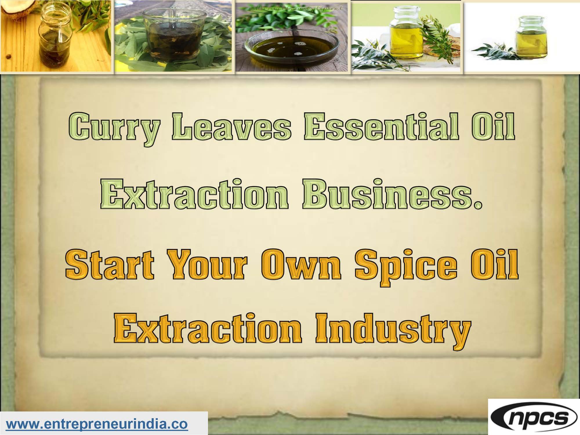 Curry Leaves Essential Oil Extraction Business.jpg