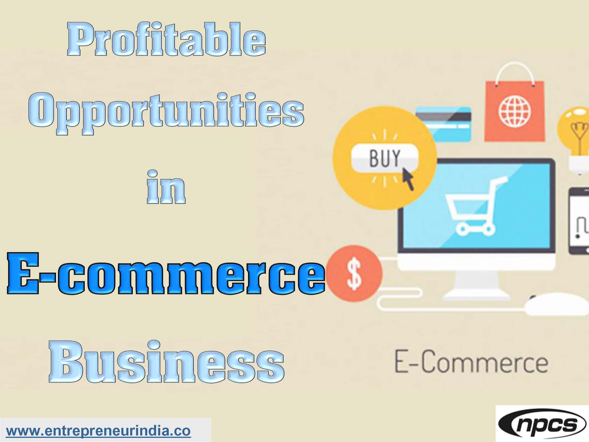 Profitable Opportunities in E-commerce Business.jpg