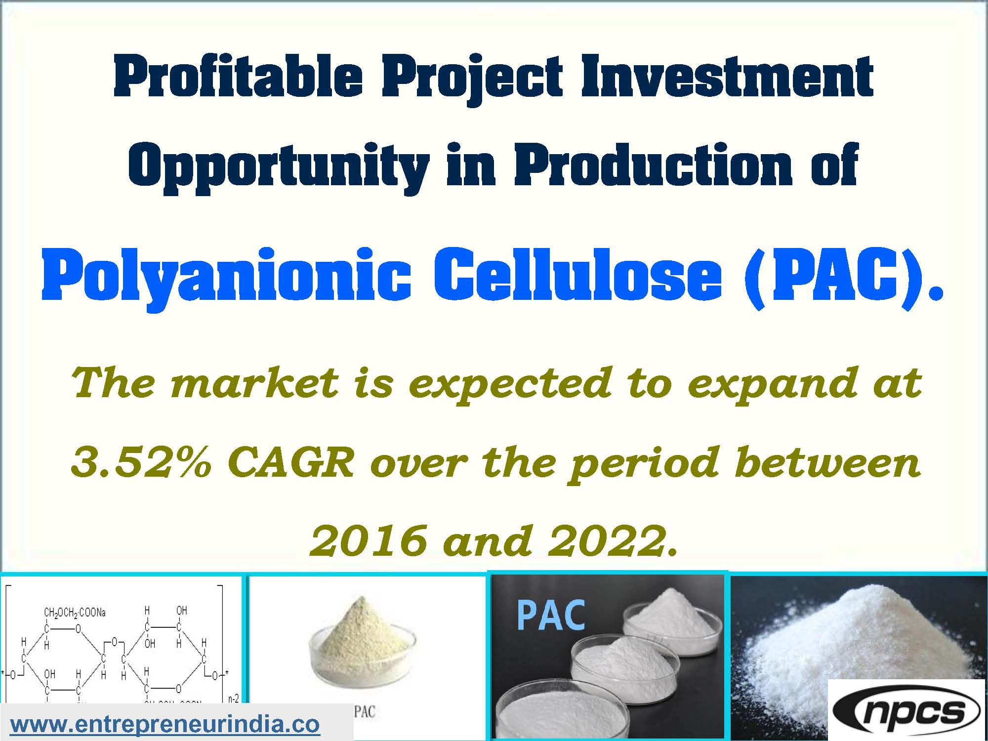 Profitable Project Investment Opportunity in Production of Polyanionic Cellulose (PAC)_Page_01.jpg