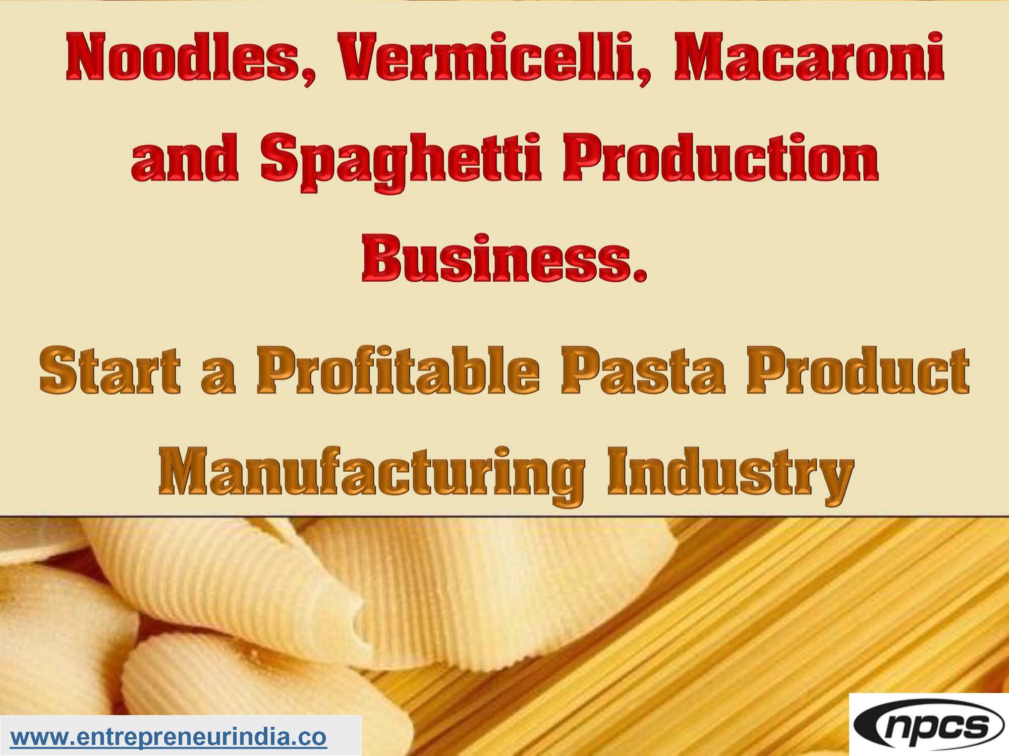 Noodles, Vermicelli, Macaroni and Spaghetti Production Business.jpg