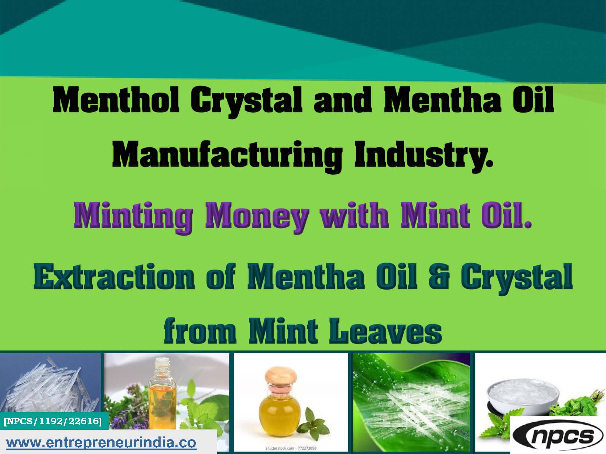 Menthol Crystal and Mentha Oil Manufacturing Industry.jpg