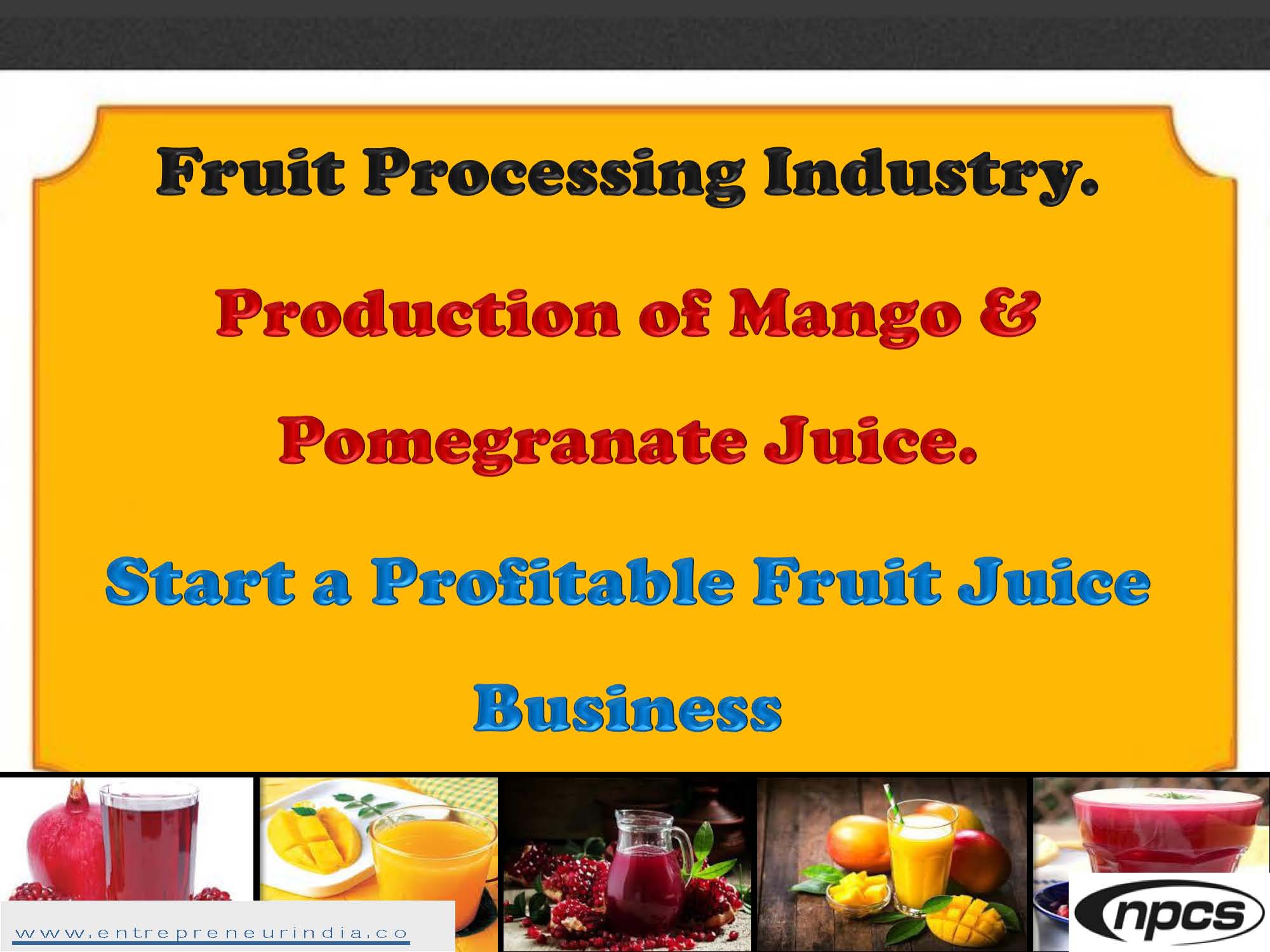 Fruit Processing Industry.jpg