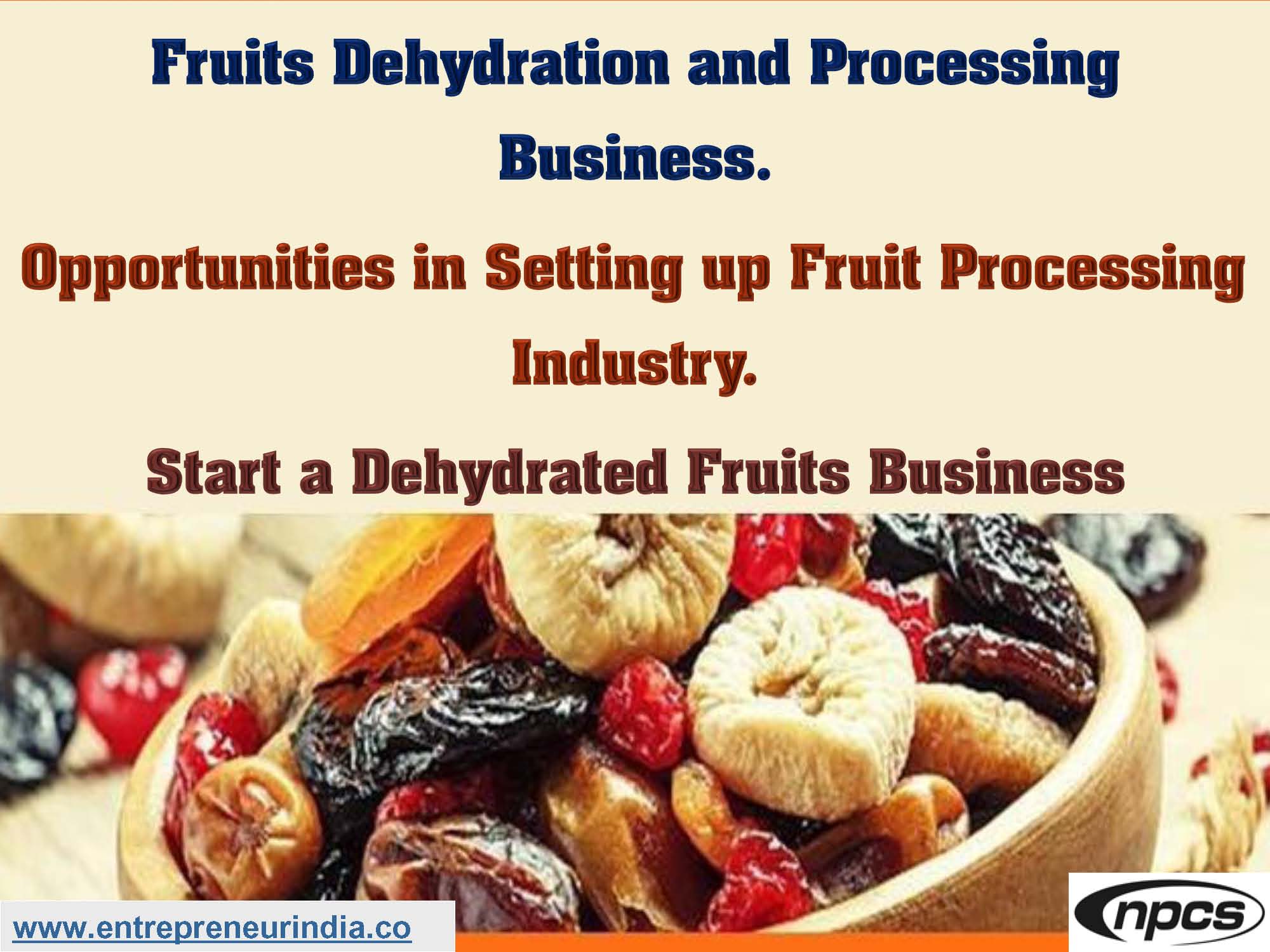 Fruits Dehydration and Processing Business.jpg