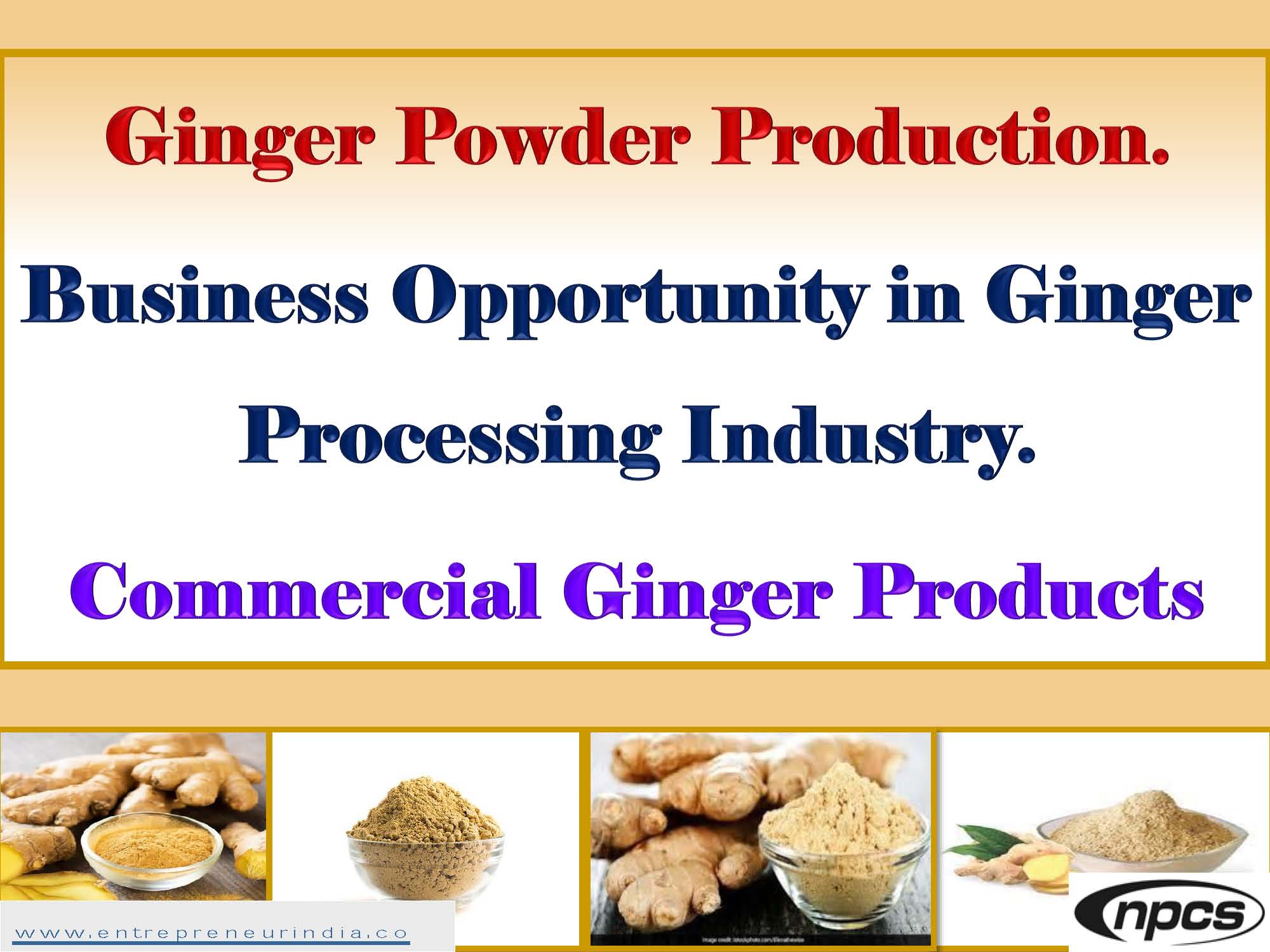 Ginger Powder Production.jpg