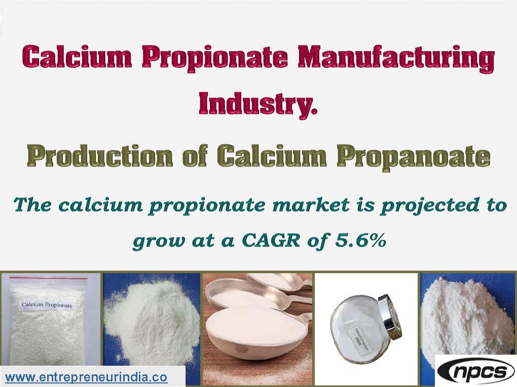 Calcium Propionate Manufacturing Industry.jpg