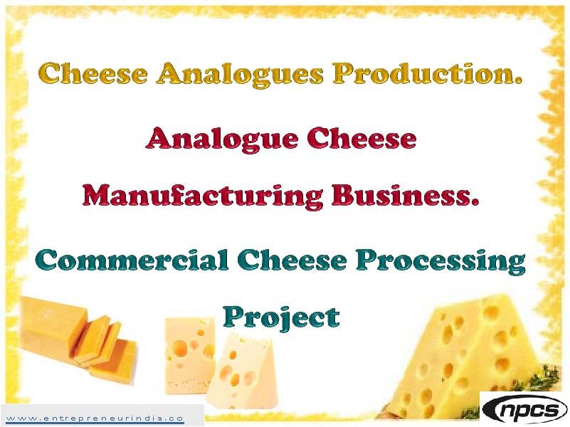 Cheese Analogues Production.jpg