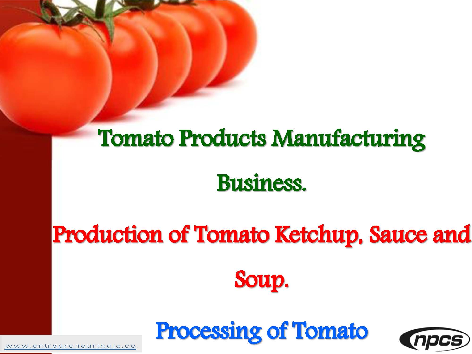 Tomato Products Manufacturing Business.jpg