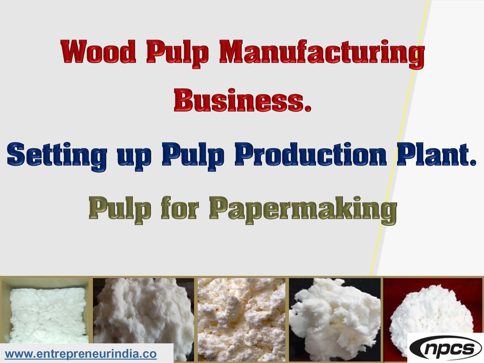Wood Pulp Manufacturing Business.jpg