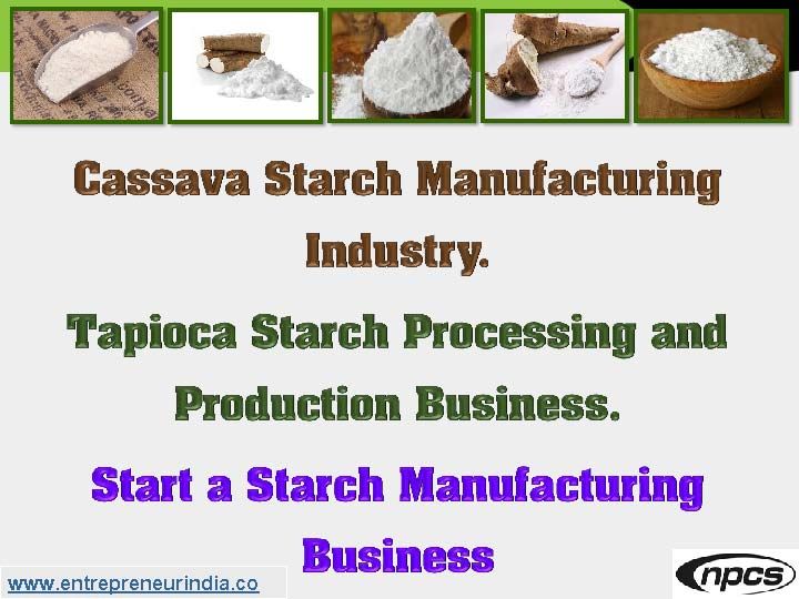 Cassava Starch Manufacturing Industry.jpg